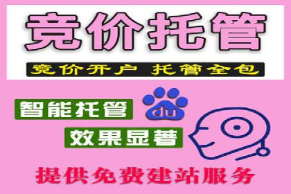 某品牌SEM代运营的成长历程与启示